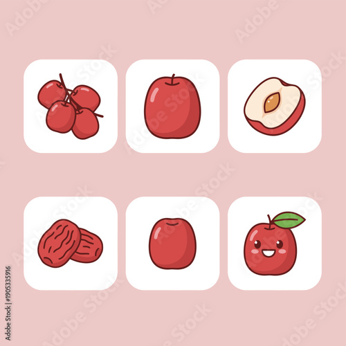 Red jujube or chinese date fruit vector illustrations set fresh and dried whole and sliced halves healthy superfood for traditional herbal medicine