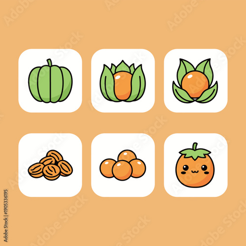 Physalis fruit or Cape gooseberry set including whole fruit in husk peeled berries and cute character illustration in flat vector style