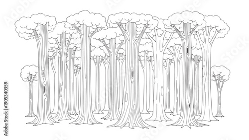 Dense grove of tall, slender trees sketched in outline form.