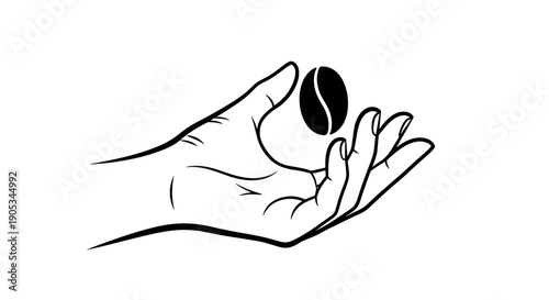 Hand holding a single coffee bean illustration.