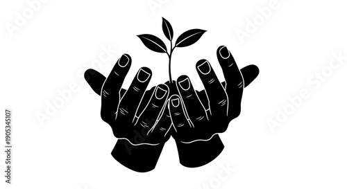 Hands Gently Holding a Sprouting Plant Seedling.