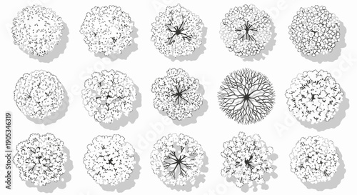 Collection of Top-Down Tree Illustrations for Architectural and Landscape Design