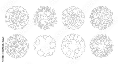 Set of eight diverse top-down tree canopy vector illustrations for architectural and landscape