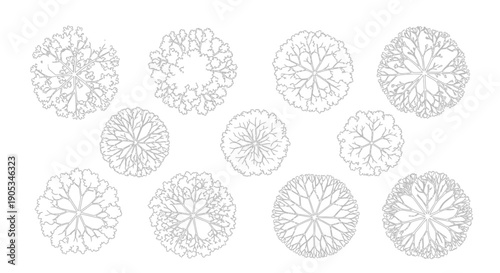 Top-Down Tree Canopy Vector Illustrations Set for Architectural and Design Projects