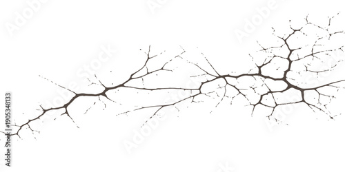 Vector illustration of a bare winter branch silhouette with a black bird pattern near a floral crack in the wall and broken glass under a snowy forest sky
