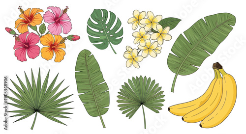 Vibrant Tropical Flora and Exotic Fruit Collection in Bright Colors