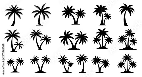 Collection of Diverse Tropical Palm Tree Silhouettes in Black and White Vector Graphics