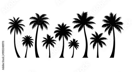 Collection of diverse black silhouettes of tropical palm trees on a white background
