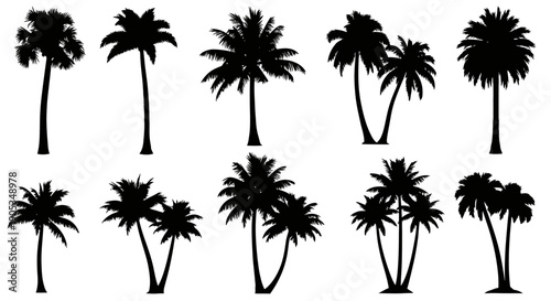 Collection of diverse black silhouettes of palm trees on a white background