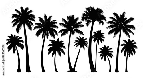 Collection of Diverse Tropical Palm Tree Silhouettes on White Background