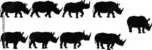 Rhinoceros silhouette vector set, collection of walking and standing rhinos, isolated black icons on white background