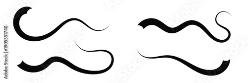 Set of Swoosh and swoop underline typography tails shape in flat styles. Swoosh line vector, underline swish, stroke swash swirl, Brush drawn curved smear. Hand drawn curly swishes, swash, twiddle.. 