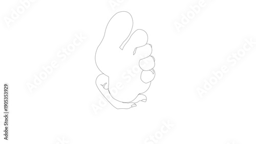 Isolated Girl holding foot with hand