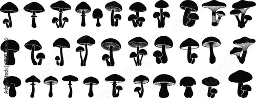 Silhouette of various mushroom species in rows