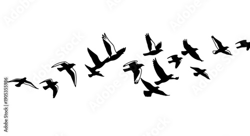 Silhouette Flock of Birds in Flight Against White Background Vector Illustration