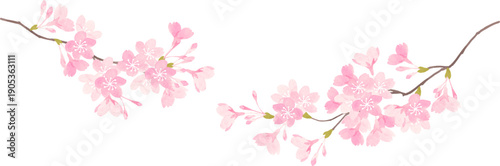 優しい雰囲気の桜の枝のイラスト