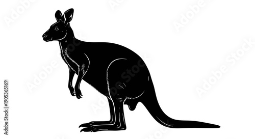 Silhouette of a Kangaroo Standing Proudly.