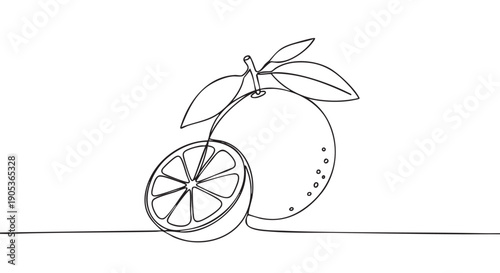 Minimalist continuous line drawing of a whole orange with leaves and a half-slice, showcasing the fresh citrus fruit in a clean, artistic style