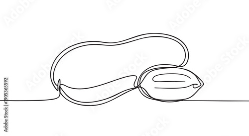 Continuous line drawing of two peanuts, one shelled and one in its shell, rendered in a minimalist artistic style with a single flowing black stroke