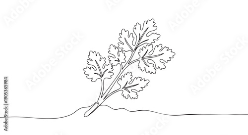 Single continuous line drawing of fresh cilantro leaves with a delicate stem, gracefully rendered in a minimalist black and white artistic style