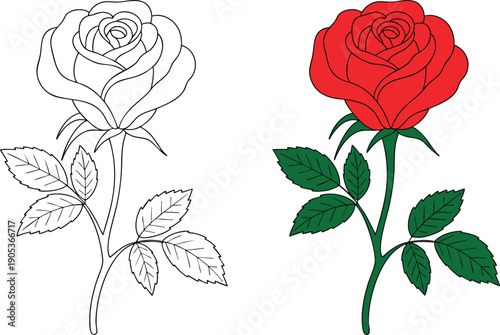 Slika na platnu Line Art and Full-Color Red Rose Illustrations, Minimalist Floral Design Featuri