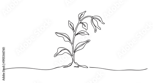 Single continuous line drawing of a plant with leaves and a drooping flower, illustrating growth and nature in a minimalist artistic style