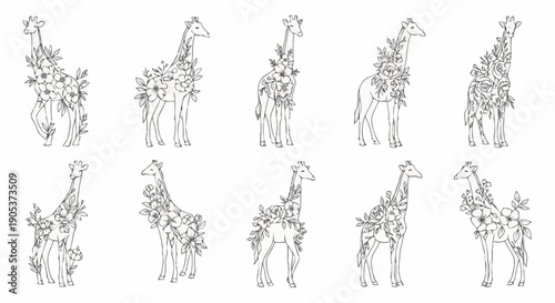 Set of artistic detailed line art giraffe illustrations representing the evolution of animal artwork and wildlife drawing for creative projects