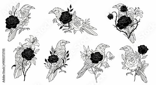 Elegant black and white floral designs featuring detailed roses leaves and intricate decorative elements for artistic projects and crafts
