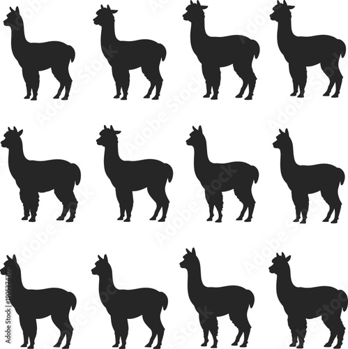 Alpaca silhouette collection, llama farm animals standing profile poses set, cute livestock wildlife concept, black flat vector illustration