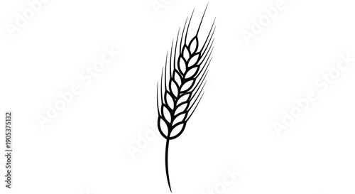 Simple Line Drawing of a Wheat Stalk.