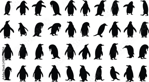 Penguin Flat Style Vector Black Icon Set, Antarctic Bird Silhouette Symbol Collection and Wildlife Outline Graphic Group Featuring Penguin, Seabird and Flightless Bird