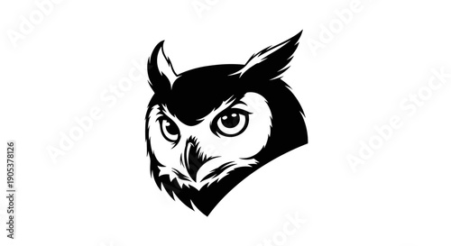 Stylized Black And White Owl Head Illustration.