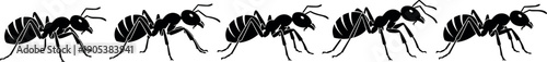 Black ant silhouettes walking in row, insect vector illustration isolated on white background, teamwork concept, pest control symbol, minimal design