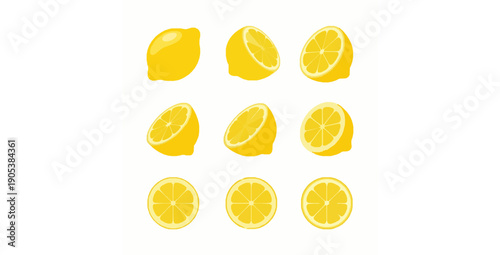 Lemon slice composition cartoon vector illustration set fresh citrus design