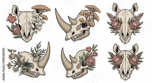 Set of six vintage style animal skulls with floral accents for botanical natural history or artistic design projects