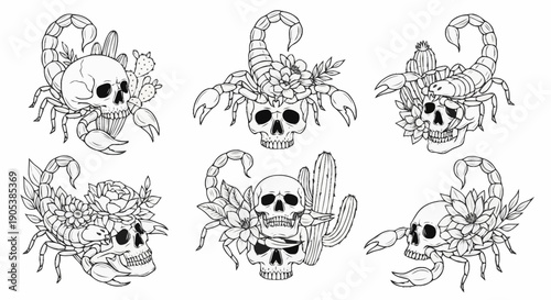 Coloring page featuring detailed illustrations of a skull surrounded by owls and feathers for children and adults
