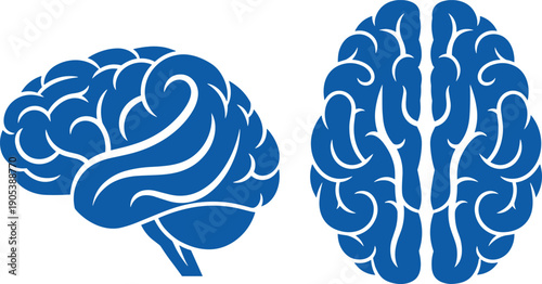 Human brain anatomy vector illustration, neuroscience concept graphic, medical brain icon design, cognitive symbol silhouette for healthcare education, psychology and science branding