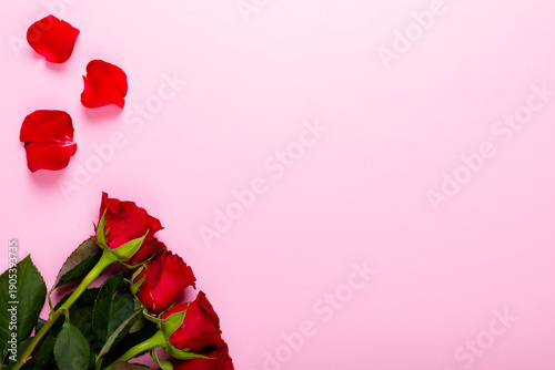Overhead view of fresh red roses and petals isolated on pink background, copy space