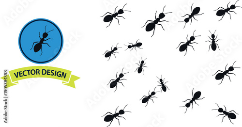 Collection of black ant silhouettes in different positions for insect, nature, and biology design concepts