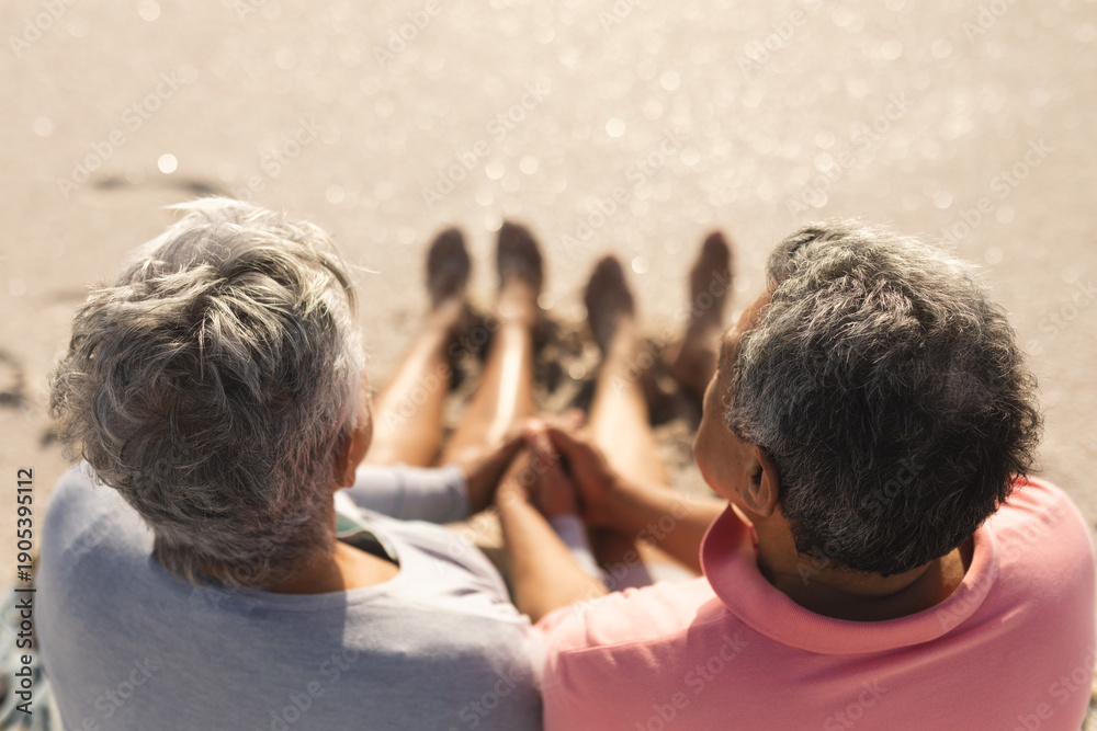Fototapeta premium High angle rear view of senior multiracial couple holding hands at beach during sunny day