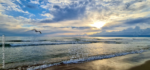Beautiful sunset beach landscape with a bird in flight over ocean waves and dramatic clouds at golden hour.