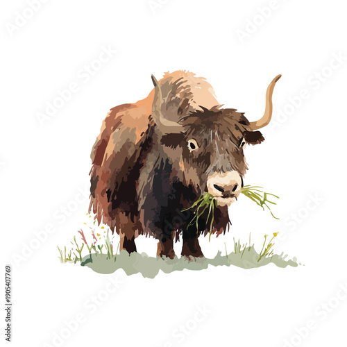 Majestic Yak Eating Grass Watercolor Illustration.