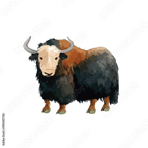 Majestic Yak Illustration Vector Art Wild Animal Drawing.