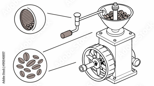 A detailed illustration of a coffee grinder with its internal mechanisms and coffee beans
