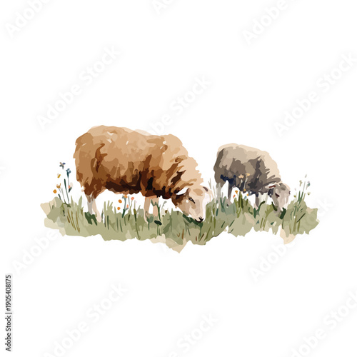 Peaceful Watercolor Sheep Grazing in Green Pasture Illustration.