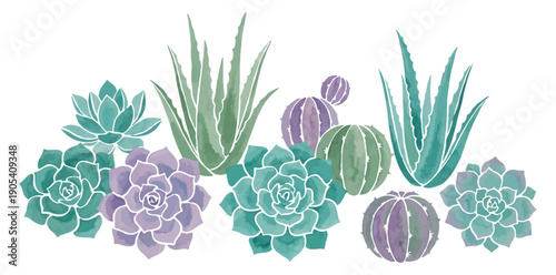 Collection of various watercolor succulent plants