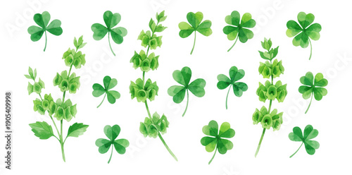 Watercolor green shamrock leaves and bells of ireland