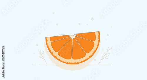 Fresh Orange Slice Isolated on White.