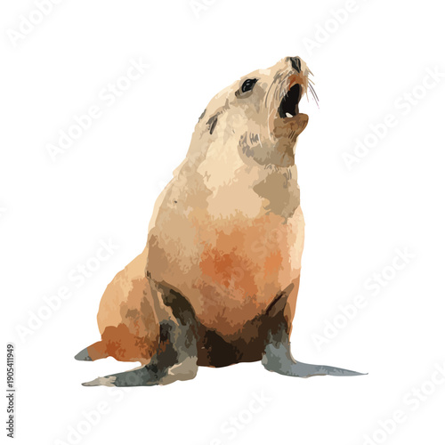 Sea Lion Vector Illustration Roaring Isolated.