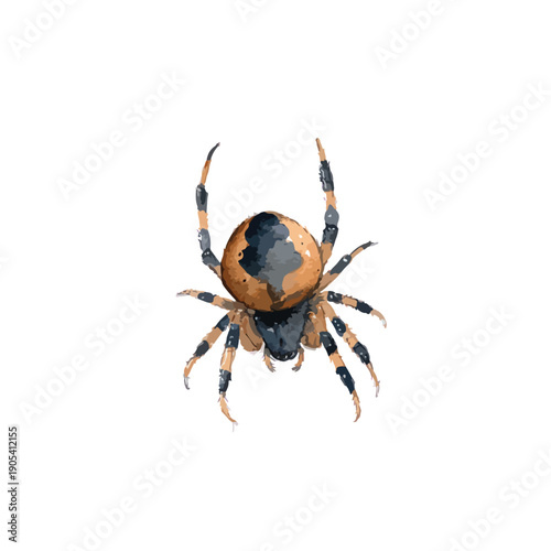 Stylized Brown Spider Vector Illustration for Halloween Designs.